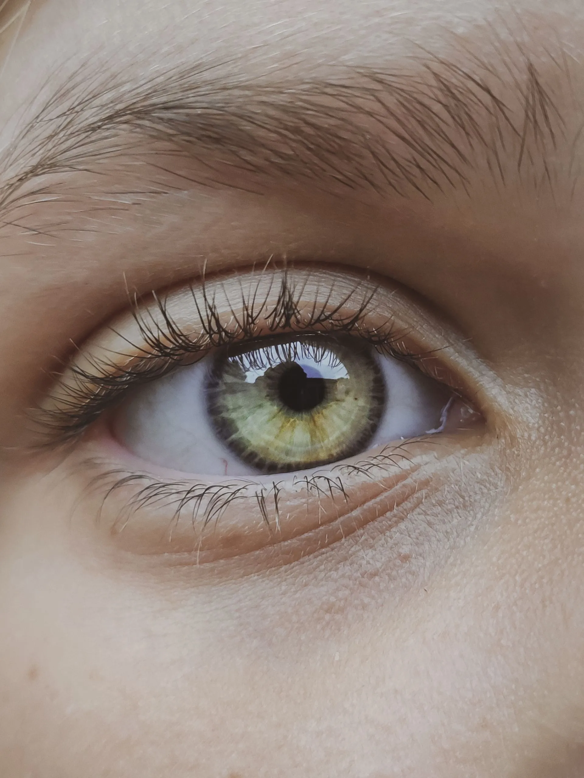 Close-up of an eye with defined lashes